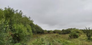 Y rhandaliad olaf gan Ymddiriedolaeth Bannister i Ymddiriedolaeth Elusennol Arfordir Penfro yn garreg filltir o ran gwarchod coetiroedd Small Dolau Newydd fence N corner