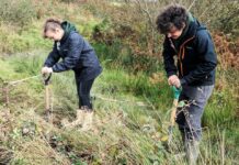 Join the Big Volunteer Weekend with Pembrokeshire Coast National Park and make a difference Volunteering 1