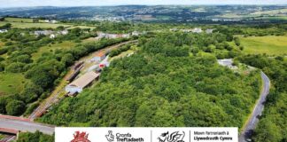 Rheilffordd Llanelli & Mynydd Mawr yn ennill cefnogaeth ar gyfer cynlluniau i adfer a meithrin coetir yng Nghynheidre Woodlands image