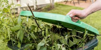 Calls for year-round garden waste collection across the country a6b88d7e 328c 4027 9ff4 f8453c4e3df7