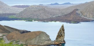 7 Unique Christmas Holiday Ideas For A Holiday Adventure galapagos islands 2419239 640