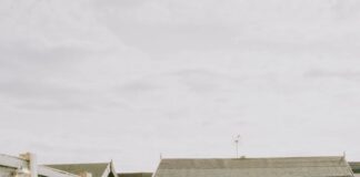 Prevent shed rot before it’s too late pexels fotios photos 22696514