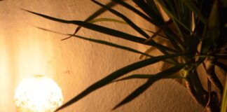 Interior expert shares five tips to make your home cosy for Autumn on a budget pexels skylar kang 6207346