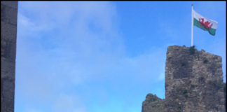 Canolfan Tywi yn datgelu partneriaeth gyda Phrosiect Calon Sir Benfro tywi centre Pembrokeshire PR