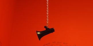 Protect yourself from the ‘Little Mermaid’ AI scam stealing your voice AND your money unnamed 3