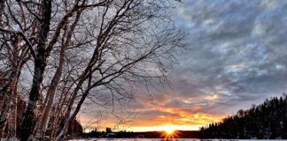 EXPERT COMMENT: SHORTER DAYS BRING SUNLIGHT & GLARE WARNING winter landscape 2995987 1280