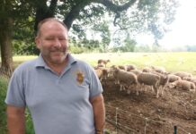 Remembrance Carmarthenshire David James 1 1 scaled