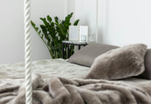 The best and worst plants to keep in the bedroom c5b81c34 9f65 4696 9a8a f203162ac64f