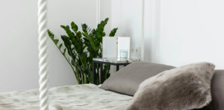 The best and worst plants to keep in the bedroom c5b81c34 9f65 4696 9a8a f203162ac64f