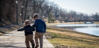 Exploring West Wales with your Little Ones: A Family Adventure Guide children 4894710 1280