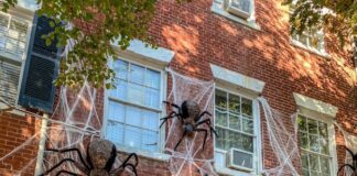 Create the perfect autumn door this spooky season pexels tea w1lemon 64837012 9982448