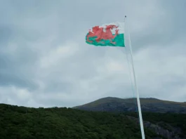 Dedicated To My Mother (Une Femme Extraordinaire) – An Amazing Woman welsh flag