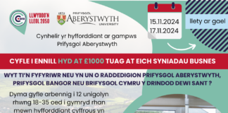Llwyddo’n Lleol yn cynnig cyfle i raddedigion prifysgolion gorllewin Cymru i ennill hyd at £1,000 i ddechrau busnes 1