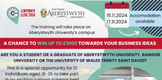 Llwyddo’n Lleol offers west Wales university graduates and students the chance to win up to £1,000 to start a business 2