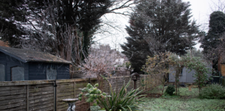 Gardening jobs to complete before the colder months 8edbb19f 826e 4a4a 8648 4cfd6dc6baf8