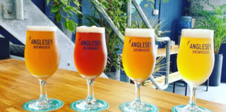 30 Oct 2024 Cadman Capital Group Acquires Anglesey Ales, Expanding Its Presence in Craft Brewing Market Anglesey Ales craft beers cropped cropped