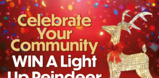 Carmarthen Garden Centre lights up Christmas with community giveaway British Garden Centres Reindeer Giveaway