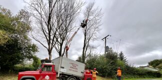 Branching out … a new fund to grow Wales’s forestry workforce Lampeter Tree Services 4 scaled