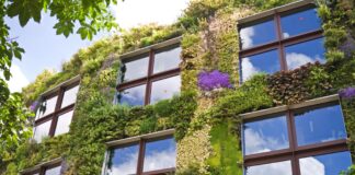 Welsh businesses and property owners urged to assess risks of living walls Living Walls image scaled
