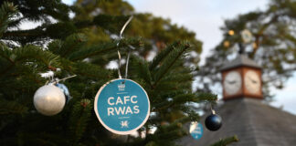 Festive shopping, food and entertainment at Royal Welsh Winter Fair RWAS winter fair 2024