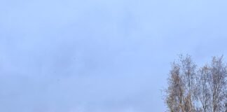 Gloucestershire’s largest ever educational outreach event comes to Cheltenham Racecourse WhatsApp Image 2024 11 27 at 10.04.58 88ecc270