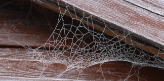 How to protect your shed during wintery conditions c3147acc 026a 4081 b352 ccba2dd9c82d