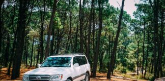 This is the date you need to check your tyres by this Winter, data reveals pexels rickyrecap 1683519