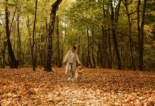 10 Best Dog-Friendly Pubs Walks in Wales, Where Walkers Can Enjoy a Good Pint and a Roaring Fire unnamed 1