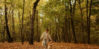 10 Best Dog-Friendly Pubs Walks in Wales, Where Walkers Can Enjoy a Good Pint and a Roaring Fire unnamed 1