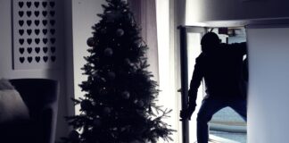 Households urged to upgrade home and garden security this Christmas Burglary