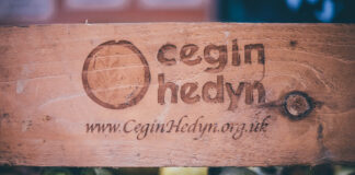 £1.7m to support families and individuals facing food poverty Cegin Hedyn3 scaled