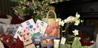 The Ultimate Christmas Gift Guide by British Garden Centres – Part One Christmas gifts for gardeners 1 scaled