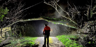 Storm Darragh: National Grid Electricity Distribution offers preparation advice to South Wales customers NGED storm 2 cropped