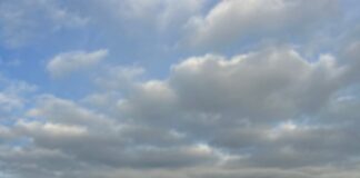 Christmas Day Workers Dyfed-Powys Police PC Hannah Jones and police dog Rogue scaled