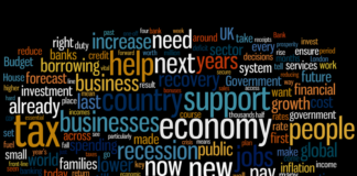 Welsh Budget comment: digitisation helped 58,000 patients avoid unnecessary hospital last year UK Budget statement 2010 wordle