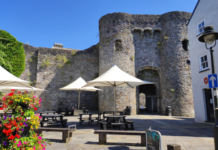 Planned Vegetation Removal at Carmarthen Castle