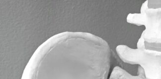 We warmly welcome the new Quality Statement for Osteoporosis and Bone Health services in Wales pexels magda ehlers pexels 27376663