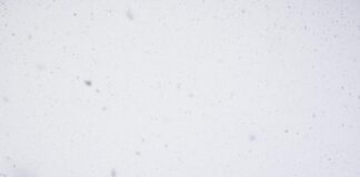 Motoring expert shares how to prepare your car ahead of UK ‘non-stop’ snow blast pexels trupert 1032654