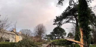 Driving expert shares advice for motorists during Storm Eowyn 228c1339c09e49e675d2baf503d892b