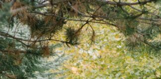 (Study) The Happiest (and Unhappiest!) Jobs: From Car Designers to Dog Photographers 23d3b60a425e6d04cea68693ee307e27b0e8d8fe