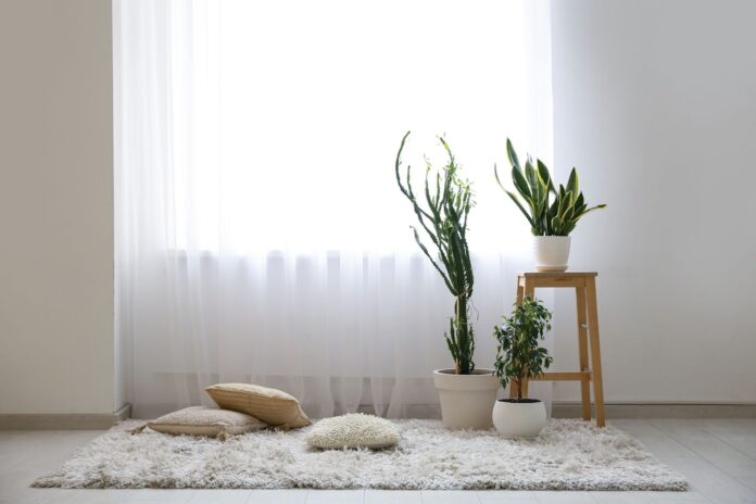 5909235c 822d 417e a724 ab0619826d9f