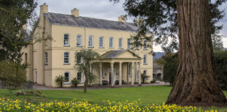 Aberglasney Gardens Reduce Entry Fee for February so visitors can enjoy the abundance of Daffodils and Snowdrops Narcissus Tete a tete Aberglasney 784 Nigel McCall blog 7