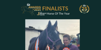 Wales-based former racehorse and owner unveiled as finalist for prestigious RoR Horse of the Year Award Second Brook Lesley Sayers RoR Horse of the Year Award finalists