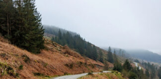 Storm damage in Mid Wales forests cancels Severn Valley Stages Rally Severn Valley Stages pic
