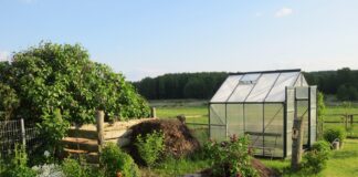 Warning: your cold greenhouse could be killing plants greenhouse 230671 1280
