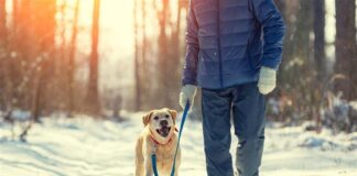 Vets issue urgent warning as UK temperatures set to plummet: Is it too cold to walk your dog? image001 1