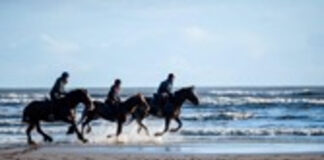 The Welsh Capital of Cosy launches latest ‘Cwtch up’ guide image004 1