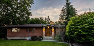 Understanding Duty of Care for Trees: What Every Landowner Needs to Know pexels ibidsy 5524239