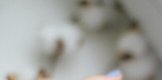 What is the nation’s favourite nail shape this winter? pexels kpaukshtite 1839711