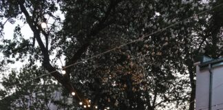 5 ways to get the most out of solar lights in winter pexels marleneleppanen 17461676